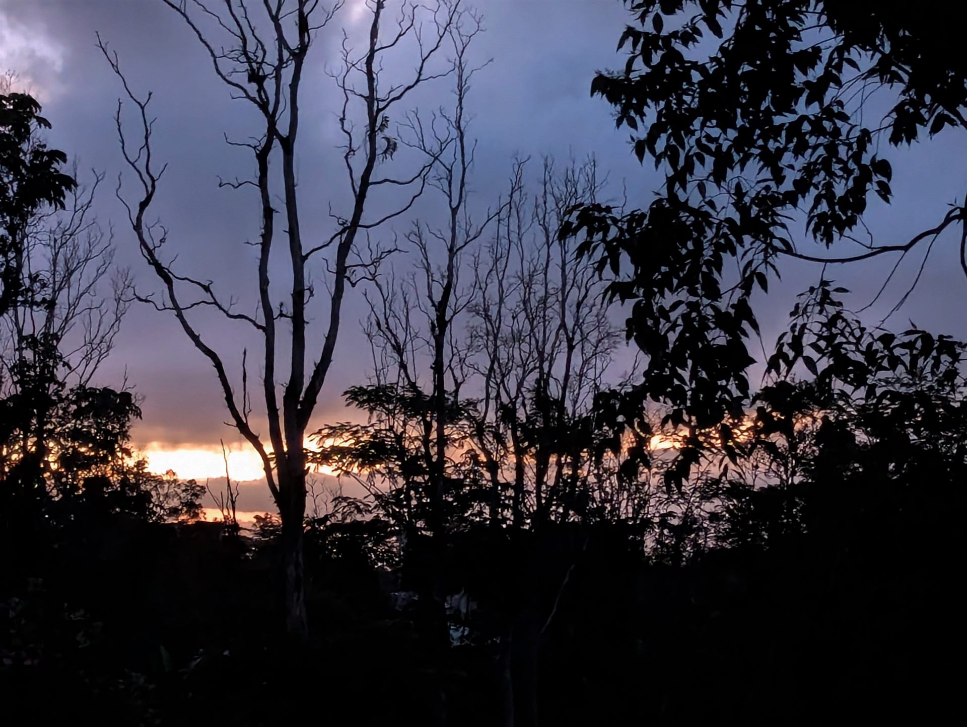 Golden dusk over the property