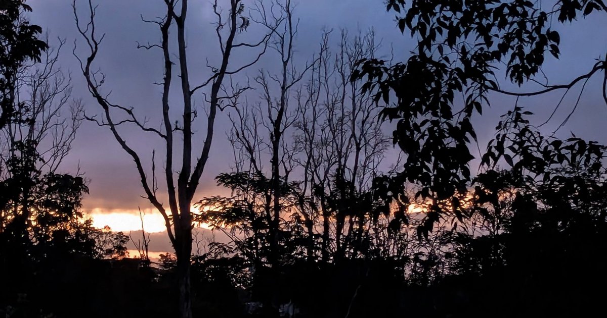 Evening light over the Digital Piko property in Pāhoa, Hawaiʻi Island