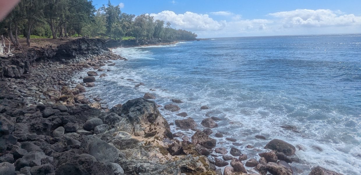 The coastline near the property