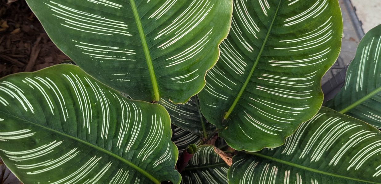 A detail from the property