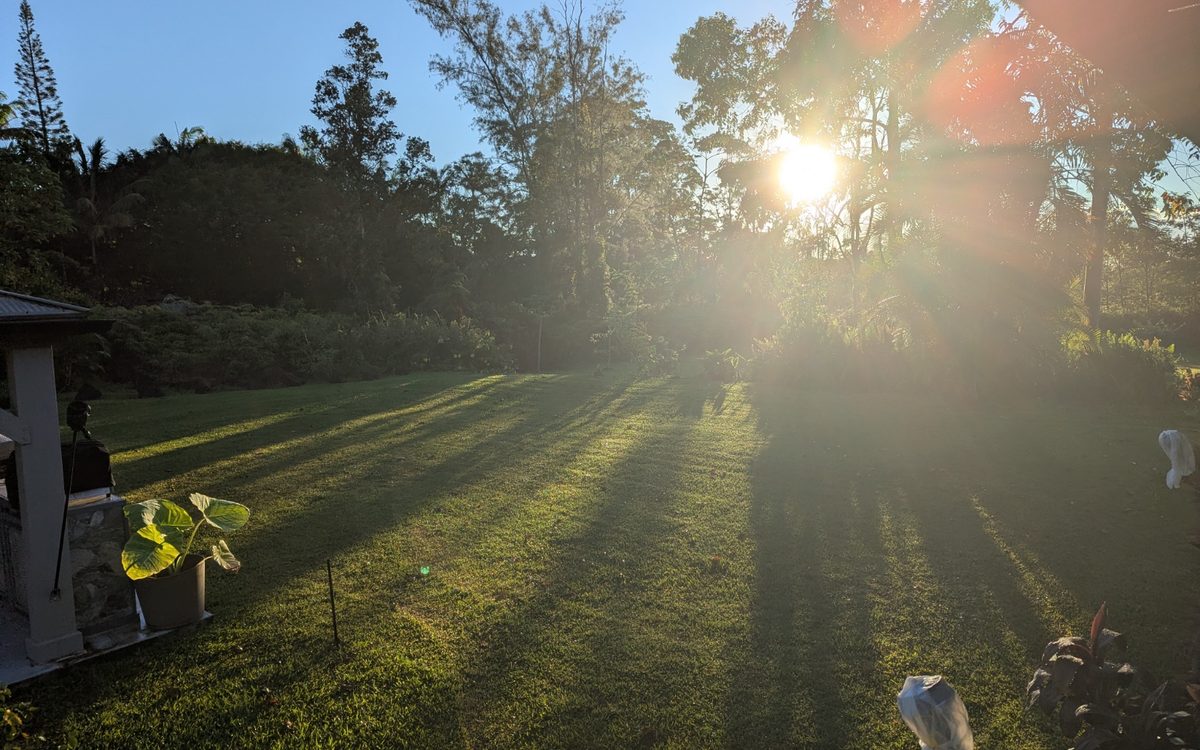 Sunrise over the Digital Piko property